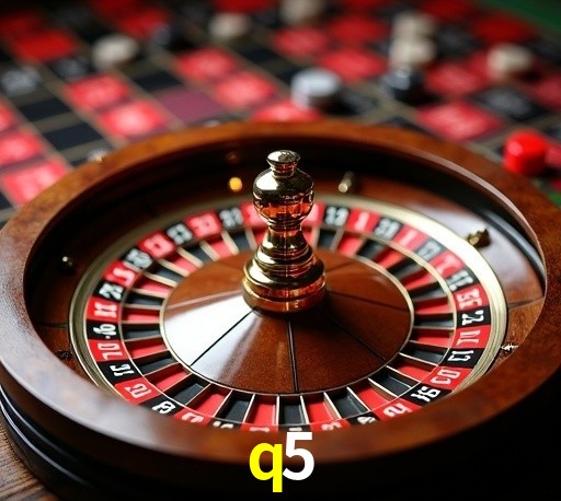 q5.com
